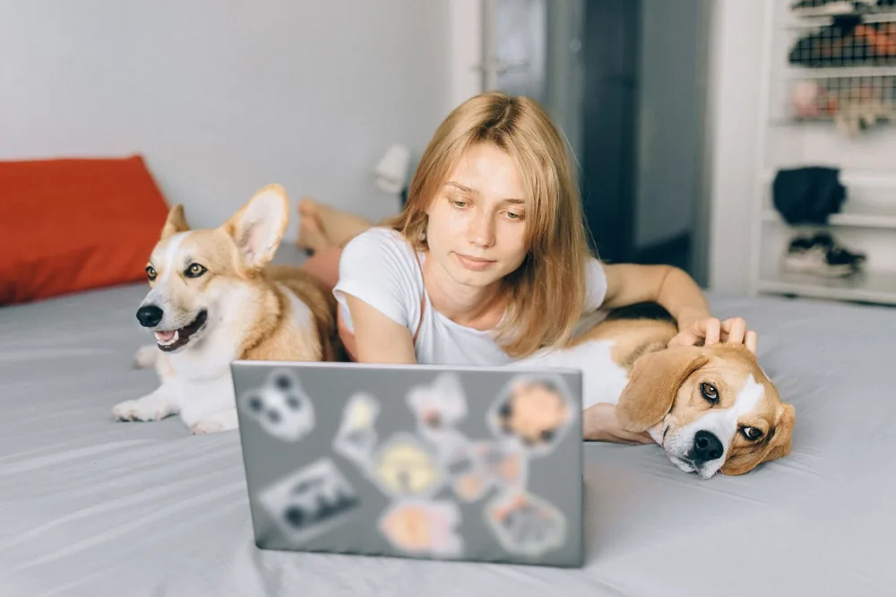 A dog owner relaxing at home with their dogs and a laptop