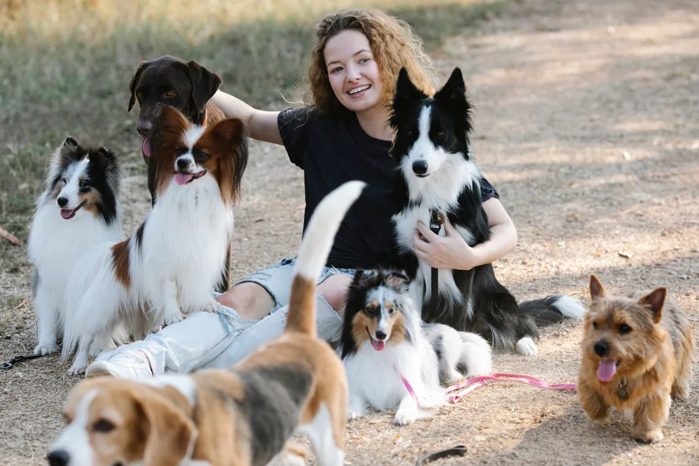 A dog trainer sitting outdoors with a group of happy dogs